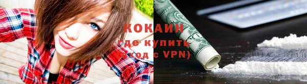 трава Куйбышев