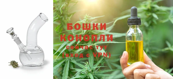 PSILOCYBIN Кулебаки