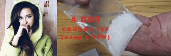 PSILOCYBIN Кулебаки