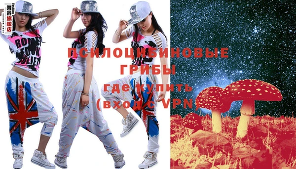 PSILOCYBIN Кулебаки