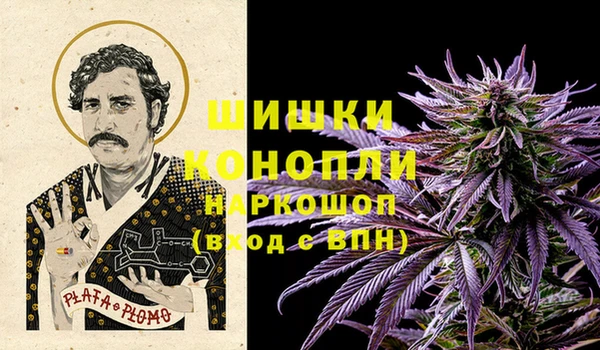 PSILOCYBIN Кулебаки