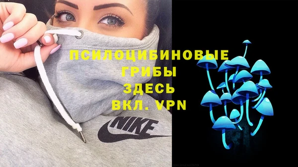 PSILOCYBIN Кулебаки