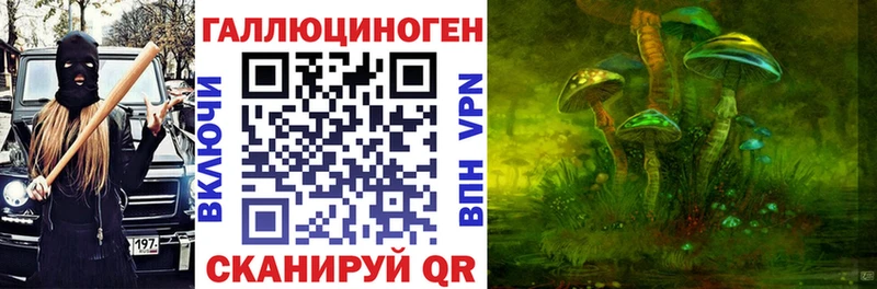 Псилоцибиновые грибы мицелий  Купить где  Петушки 